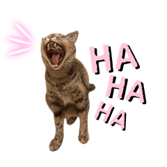 ayana_20260427233942