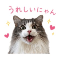 Nan@CREATE_nemuchan1