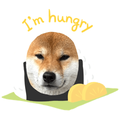 renini_20260427234006