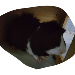 eisuke iino_20260427234208