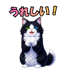 Fluffy Studio_20260427233925