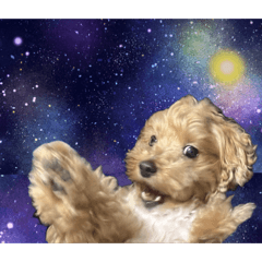 misaki_20260427233635