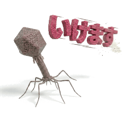 Everyday T2 phage virus