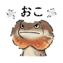 Frilled Duo: Emotionally Detached