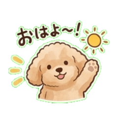 Toy poodle Chat Stickers