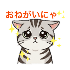 TORU TANAKA_20260427180604