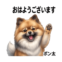 Ponta Cute Stickers Pack Vol.1