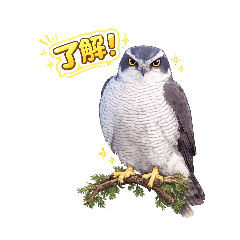 sparrowhawk243s_20260427203747