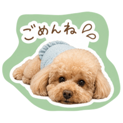 Roddy_20260428002002