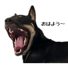 YUKIKO no SUTANPU_20260428002917