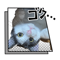 vfvmvk_20260428003626