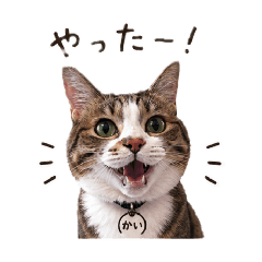 tonchan_20260428002210