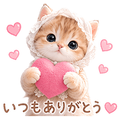 Lulu the healing cat