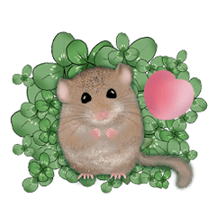 Forest fairy dormouse