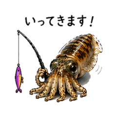 Aochan the Squid