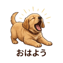 yuhaya_20260427182542