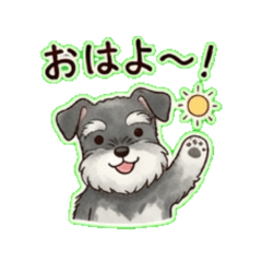 Schnauzer - Daily Chat Stickers