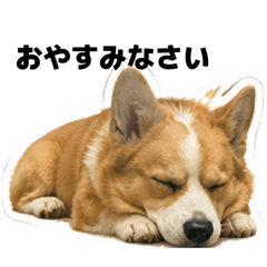 sunny_20260427182556