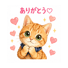 Heartwarming Cat Daily Use