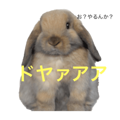 Nachopo_20260427210305