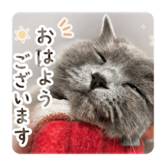OJOU_20260427210910