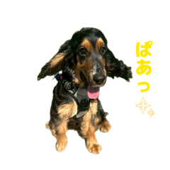 marumaru_20260427210440