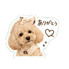 Sirius_20260428014253