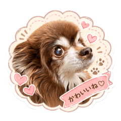 naochoco_20260427221528