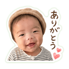 saopi_20260428015127