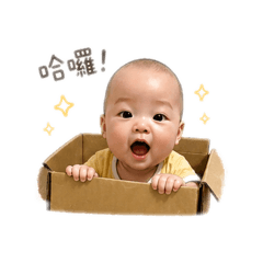 趙可樂
