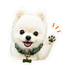陳小晨表情包