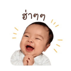 butter 240169