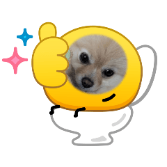 tsubasa_20260427213352