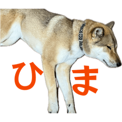 kyo_20260427213853
