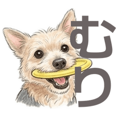 kuririn_20260427224418