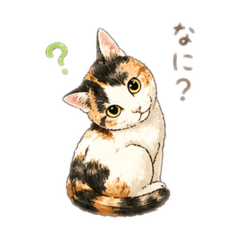 chimi_20260427224747