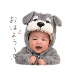 seina_20260427224303