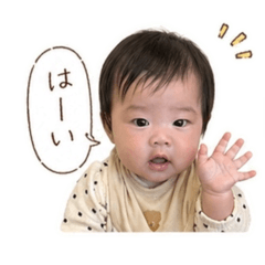 qozz55_20260427225720