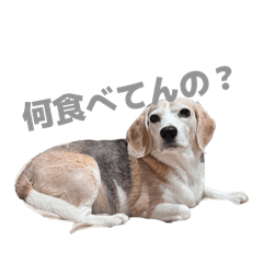 Peace_20260428055735