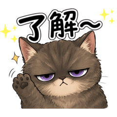 Sibatora_20260428065751