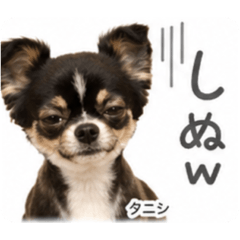 tubuta_20260428064612