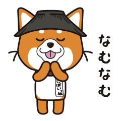 shiba-innu