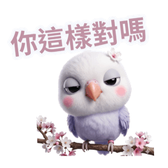 牡丹鸚鵡 內心戲很多