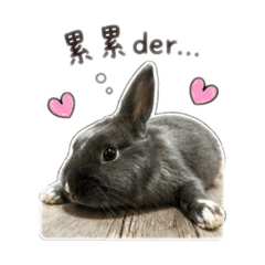 搗灰&歐騰的日常生活2