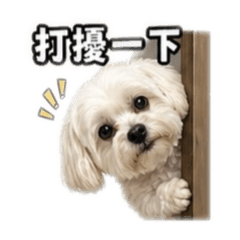 犬類一家親（日常篇）