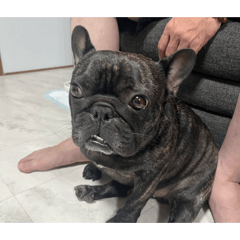 OSAMU_20260428065847