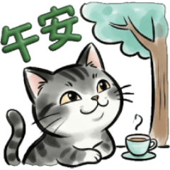 ♥灰色虎斑貓：懶人必備簡短回覆✨