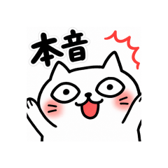 Honest Cat for Minpaku