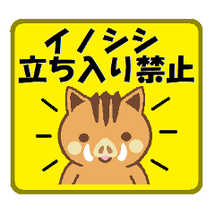 Cute Wild Boar Sticker Line Stickers Line Store