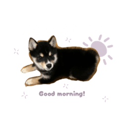 Stickers of Shichimi
